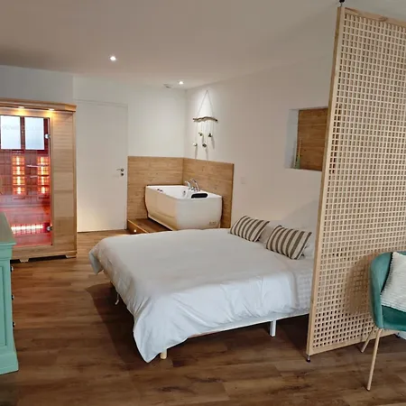 Appartement Loft 